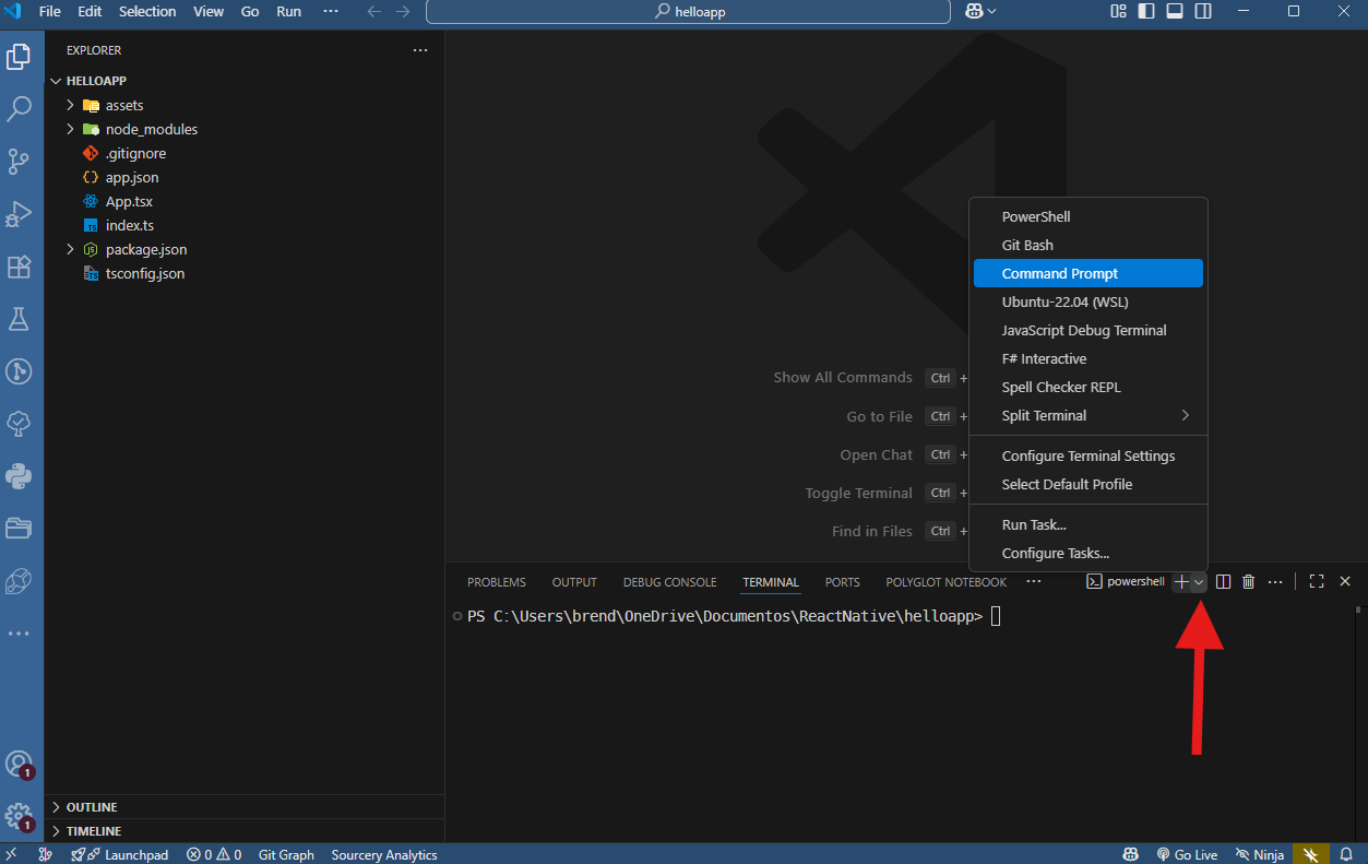 Selecionando CMD para ambiente React Native Expo